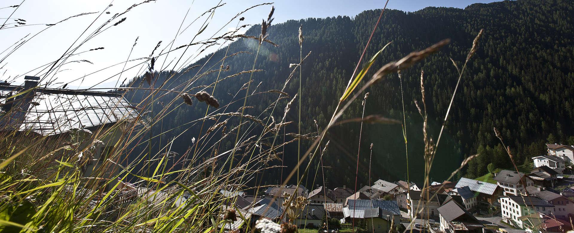 Sommer